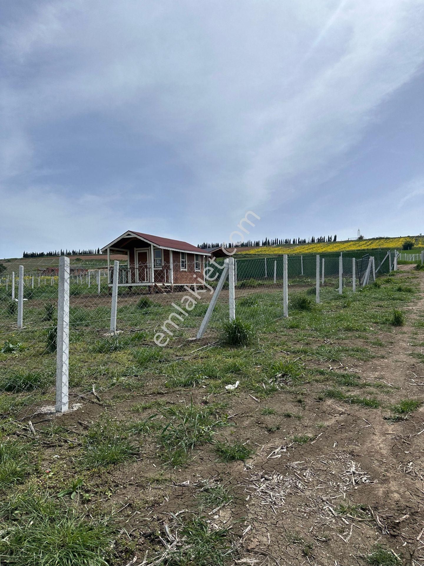 Çeşmeli Denize Yürüme Mesafesinde 800 Mt İmar Sınırında Tarla