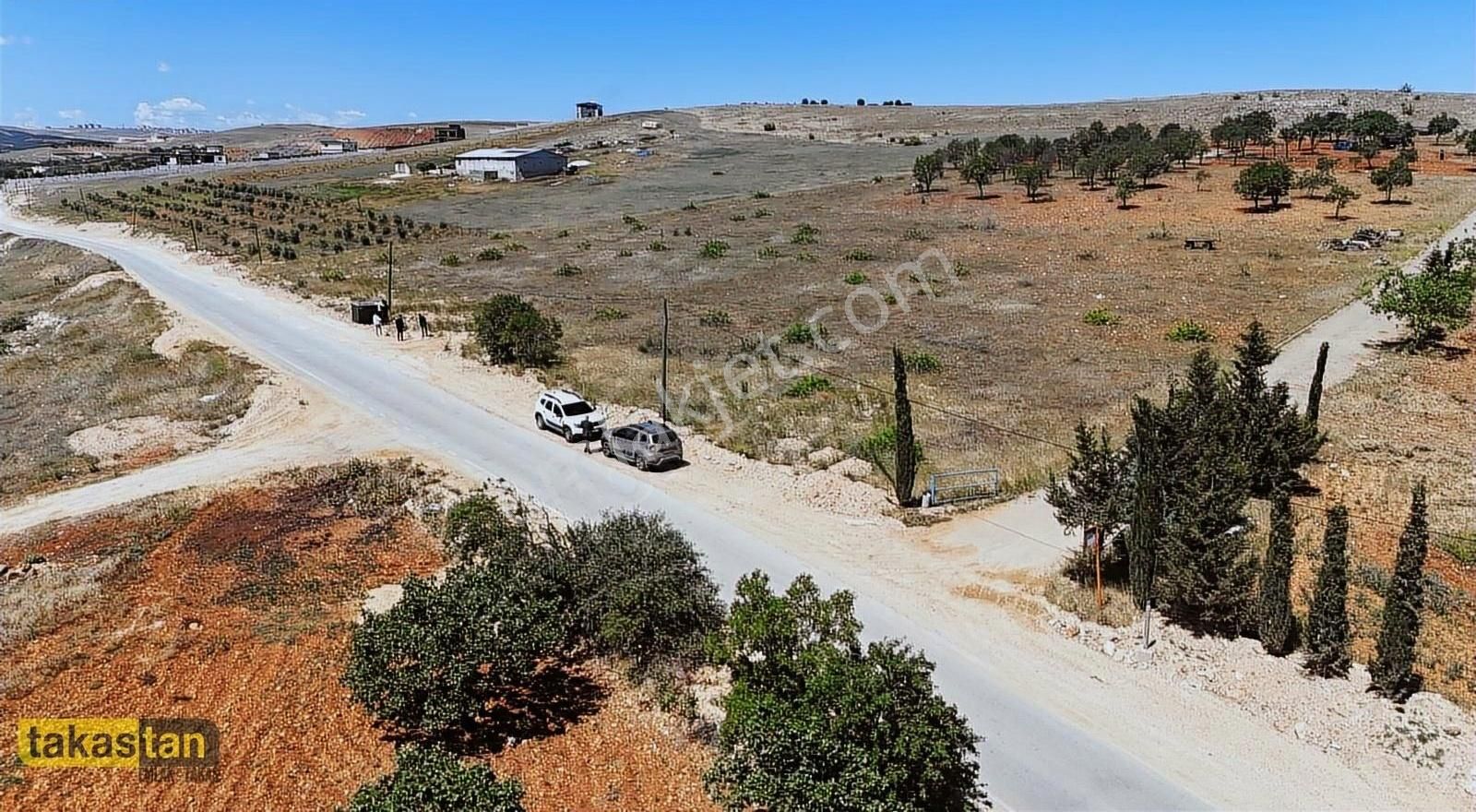 Suboğaz Asfalt Üstü Bağevi İçin Uygun Ve Yatırımlık Satılık Araz