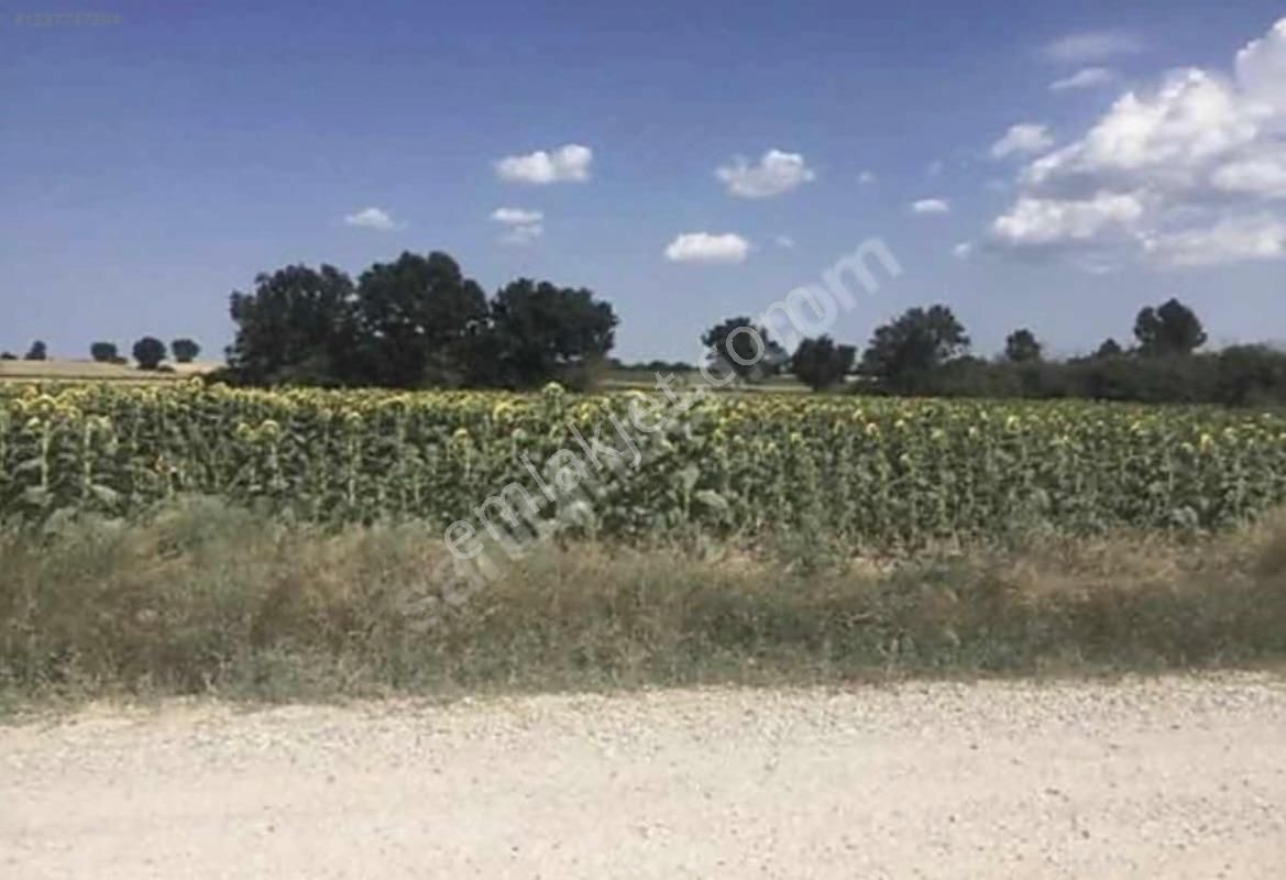 Sahibinden Kırklareli Merkez Kızılcıkdere'de Satılık Tarla