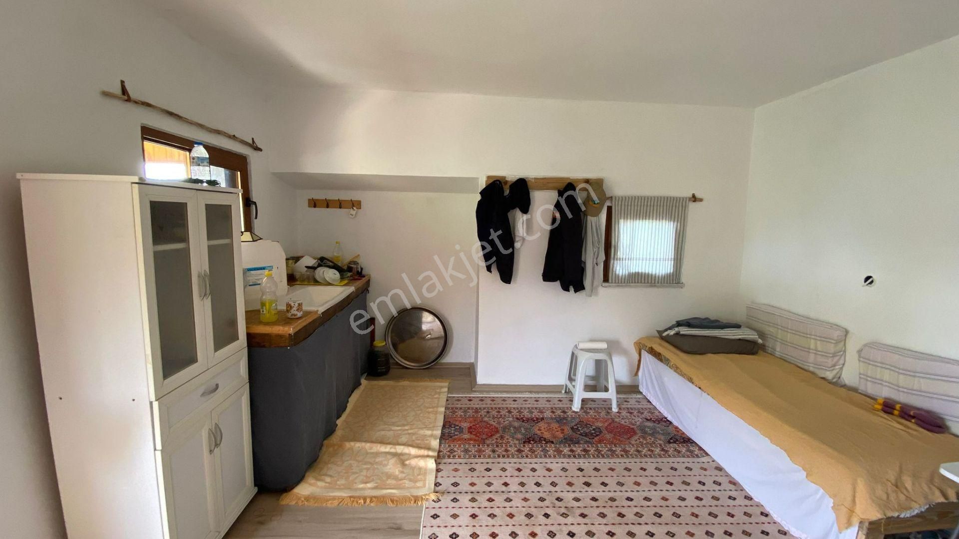 Umurbeyde Uygun Fiyata Satılık Zeytinlik (((içerisinde Ev Var ))) - Görsel 19