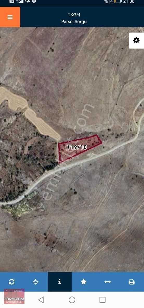 Gesi Büyük Bürüngüzde 3100m2 Bağımız Satlıktır.
