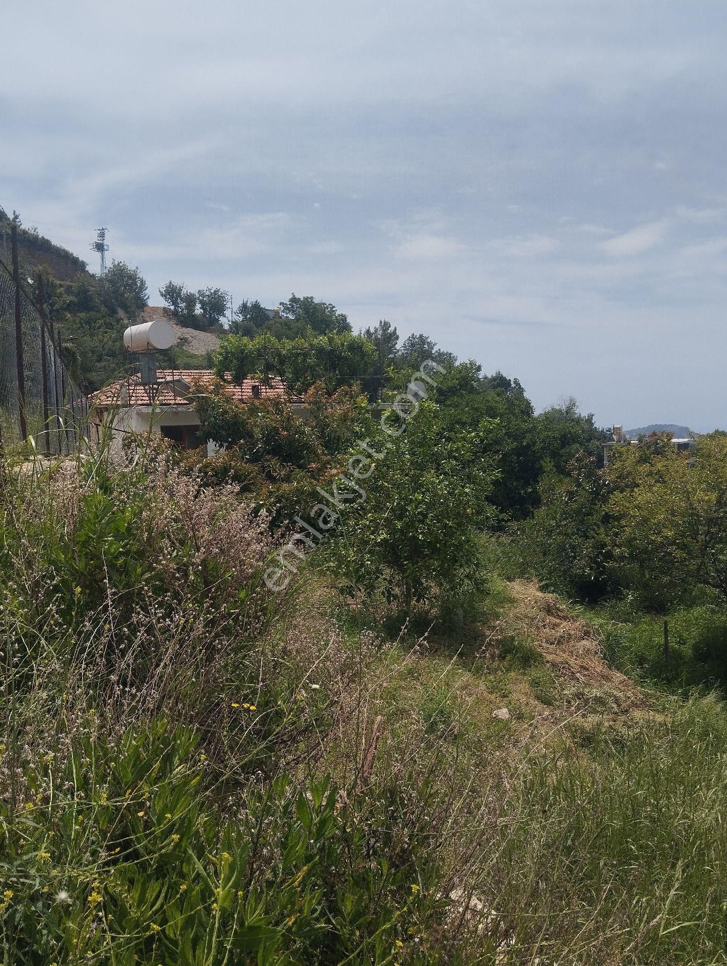 Kat Karşılığı Alanya Merkez - Görsel 3