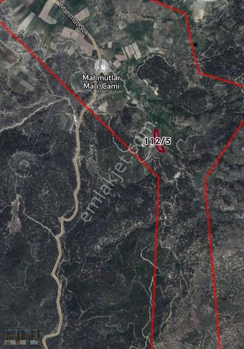 Ormanın İçinde 11270m²yolu Mevcut Doğanın Kalbınde