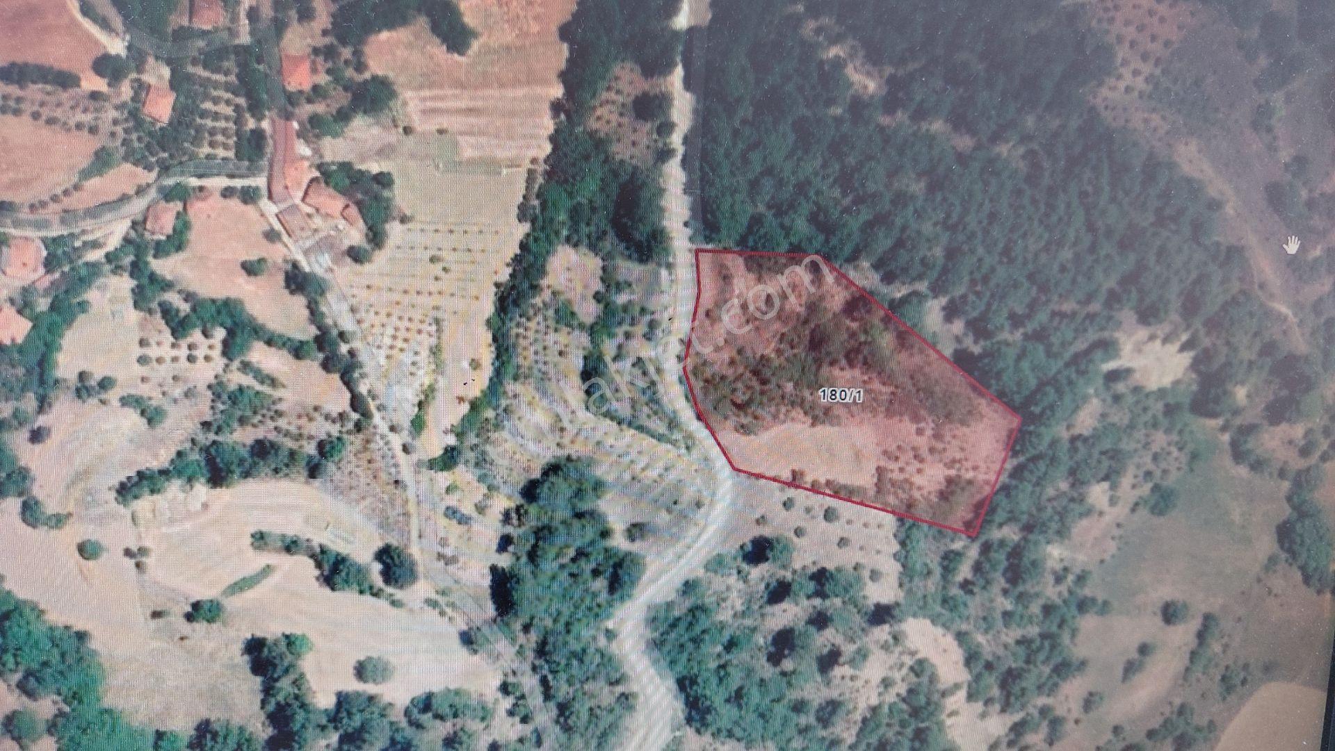 Muğla Merkez Bozyer Köyünde 10906.m2 Ana Yola Cepeli Tarla - Görsel 4