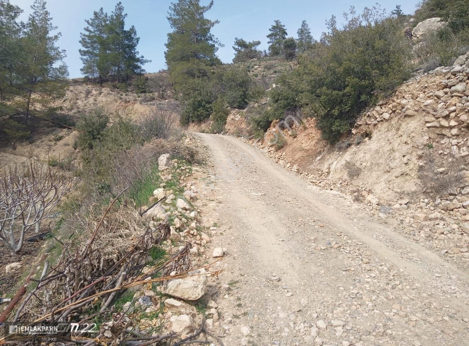 Emlakparkdan Silifke Kargıcak Mah. De Satılık Erik Bahçesi - Görsel 23