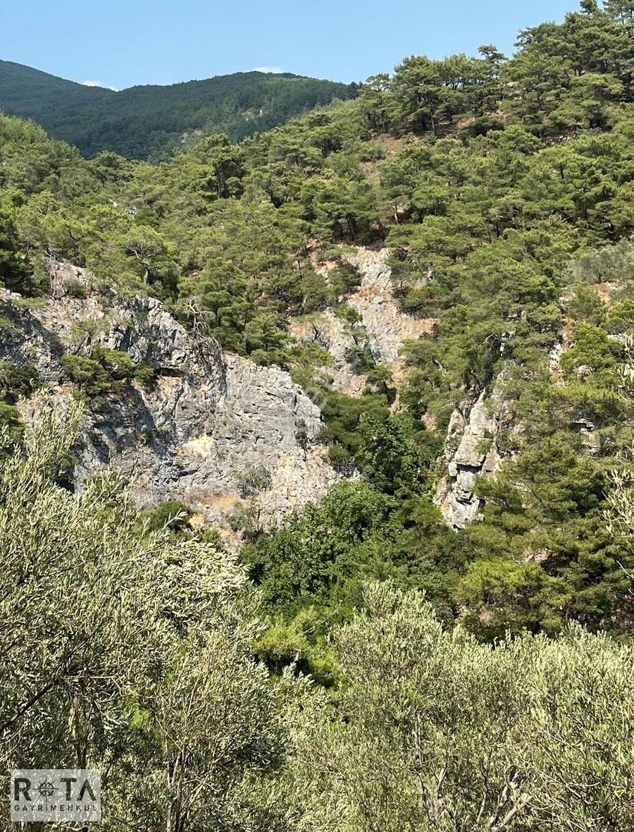 Altınoluk-kavlaklar-deniz Manzaralı-7 Dönüm Zeytinlik-rota - Görsel 11