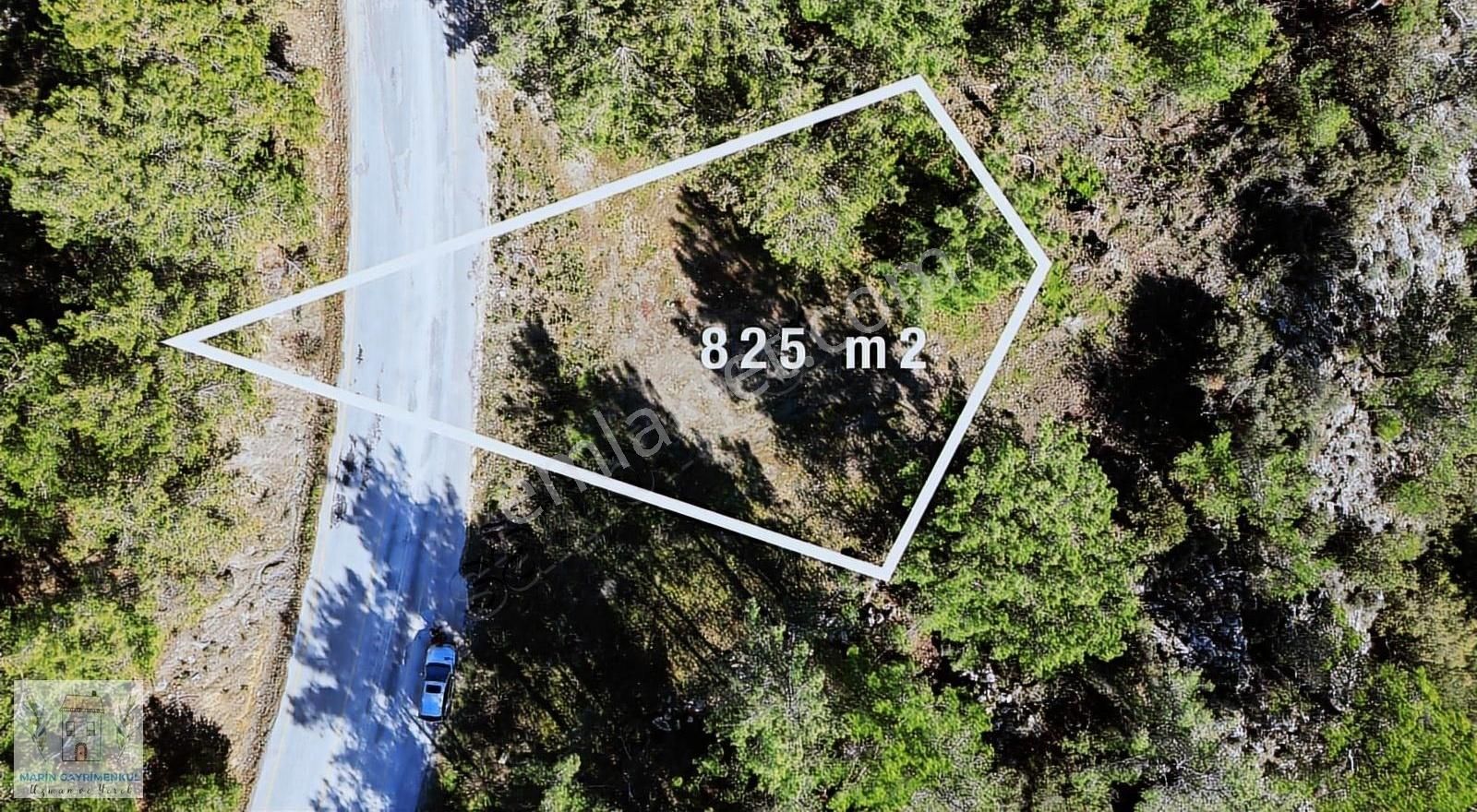 Marin'den Mesudiye'de 825 M² Fırsat Tarla
