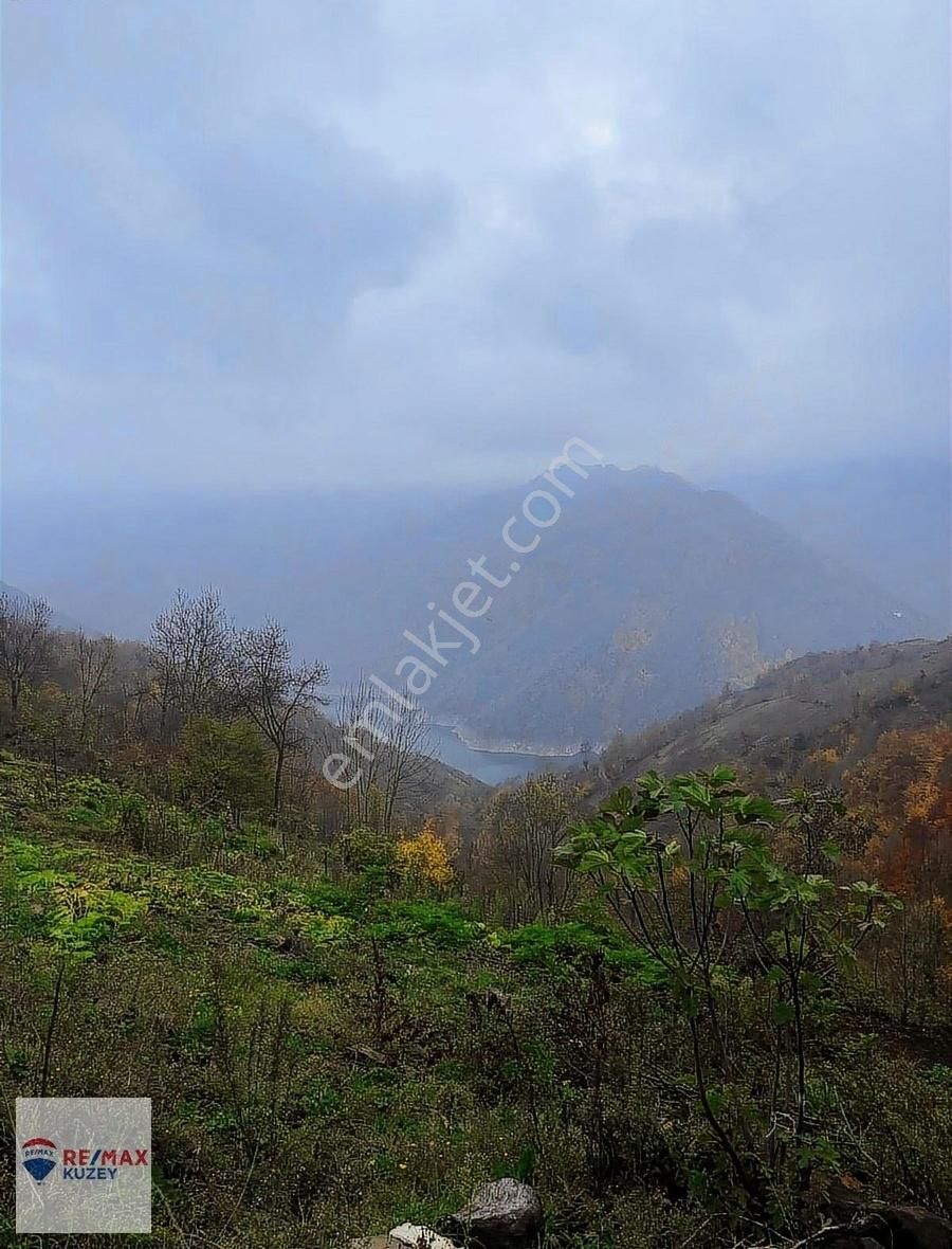 Remax Kuzey Mehmet Ay'dan Ayvacık Satılık Tarla Vefındık Bahçesi