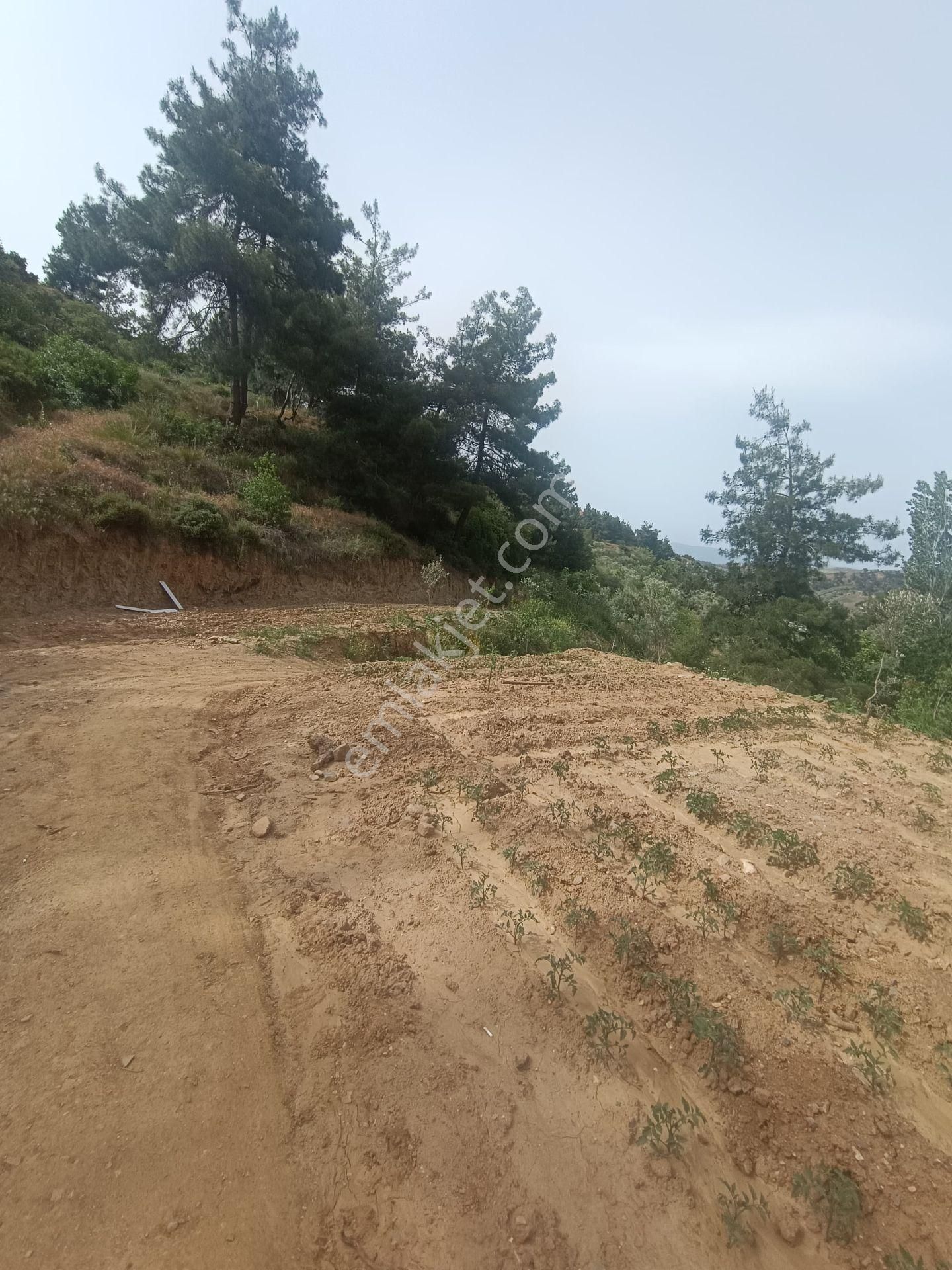 Ağabey Gayrimenkul Den Çenibektaş Mahallesinde Satılık Hobi Bahçesi