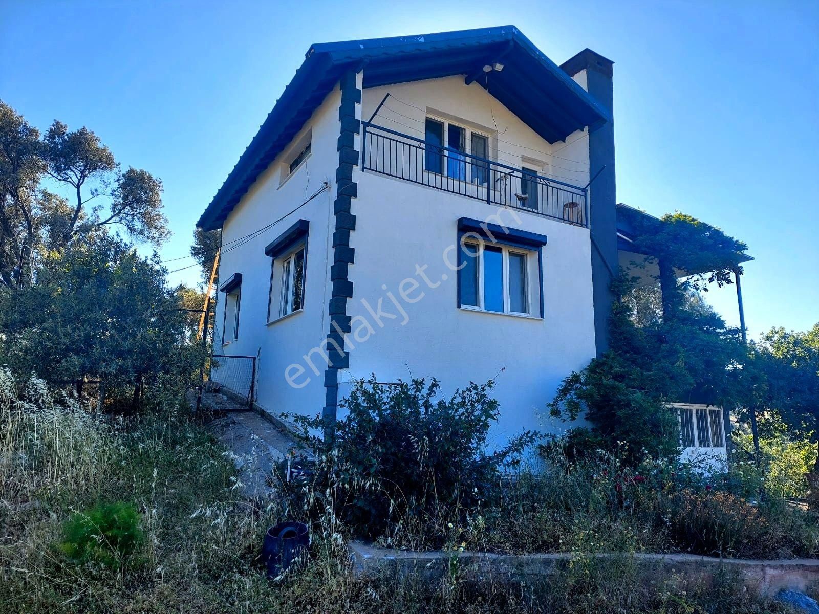 İzmir Seferihisar Orhanlı Da Merkeze Yakın Satılık 10 Dönüm Zeytinlik - Görsel 2