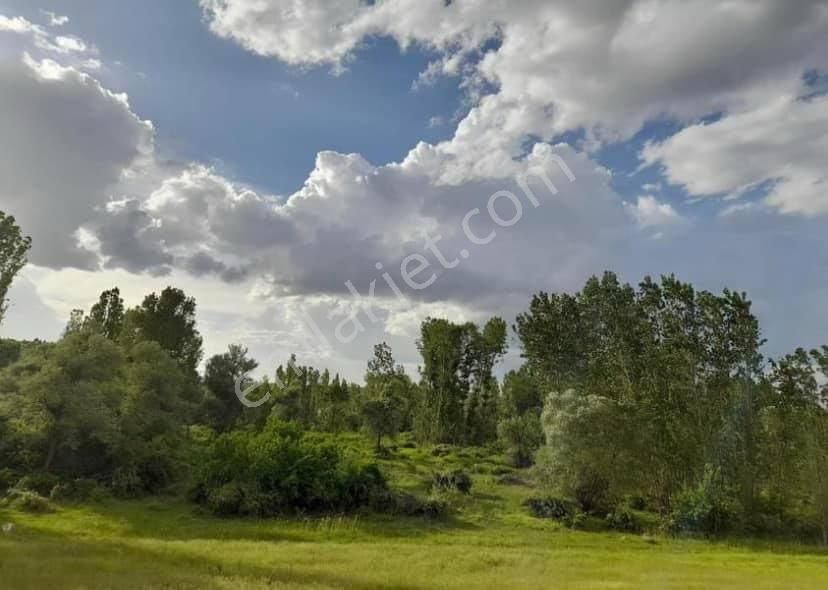Akören Tülce En Hesaplı Bahçe 1537 M2 Bayındır Deresine Cepheli