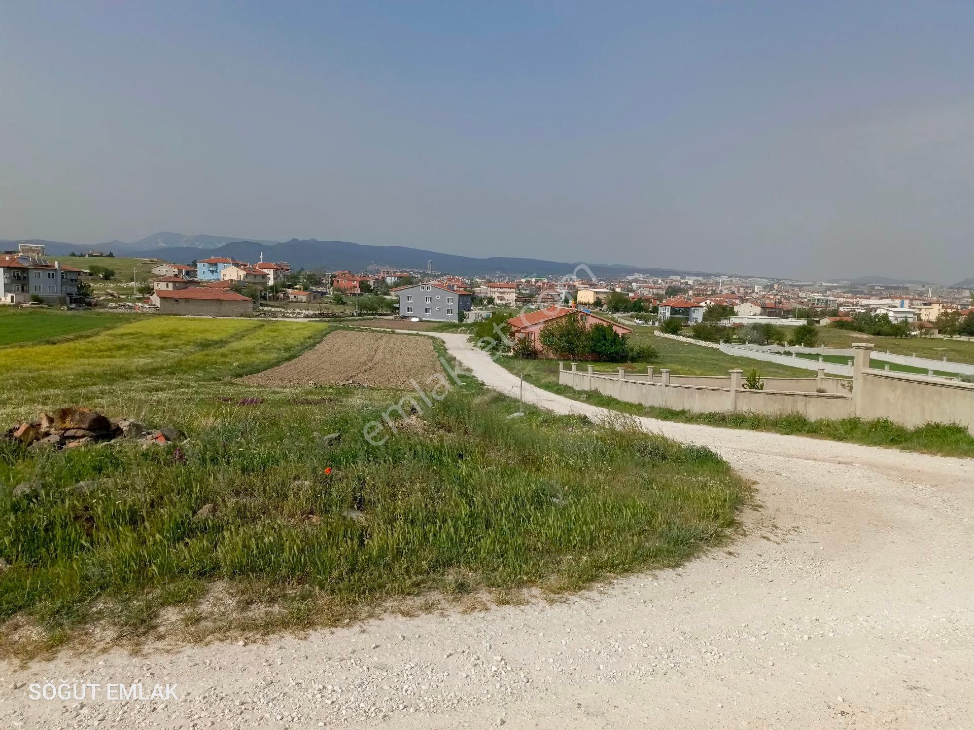 Söğüt Emlak'tan Afyon İscehisar'da Satılık Arsa