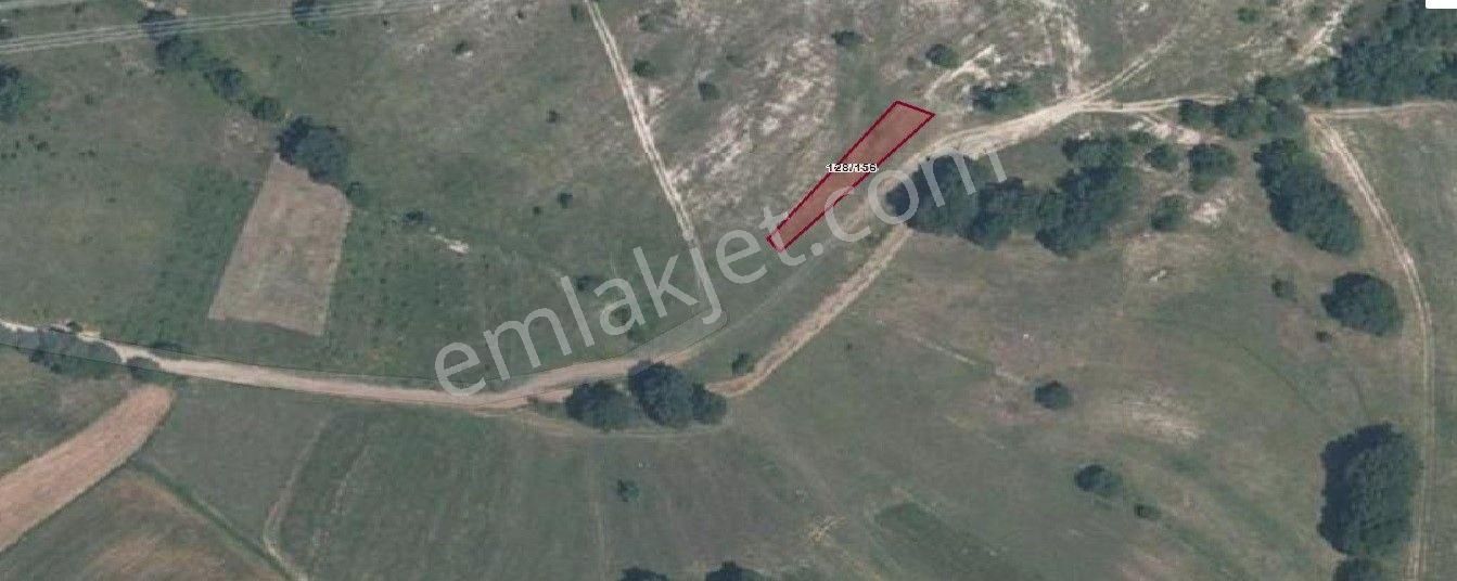 Remax Hür Ülkü Çakar'dan İzmit Bulduk Köyü'nde Satılık Yatırımlık Tarla