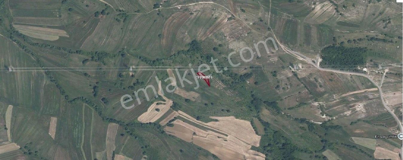 Remax Hür Ülkü Çakar'dan İzmit Bulduk Köyü'nde Satılık Yatırımlık Tarla