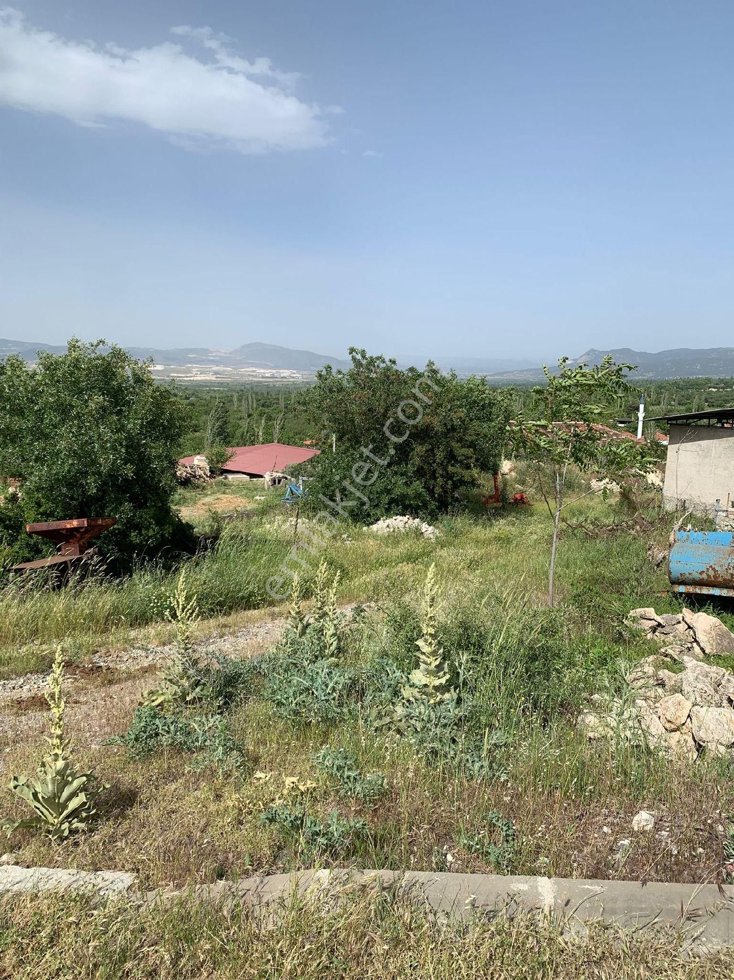 Çöl Gezen Gayrimenkul Den Satılık Arsa