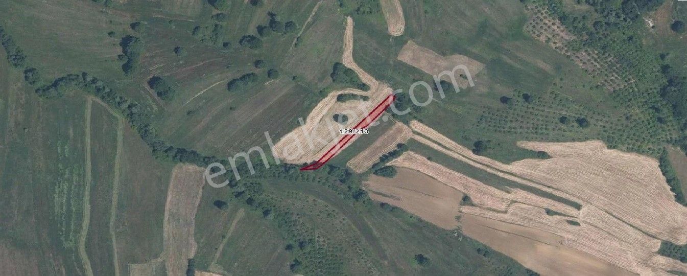 Remax Hür Ülkü Çakar'dan İzmit Bulduk Köyü'nde Satılık Yatırımlık Tarla