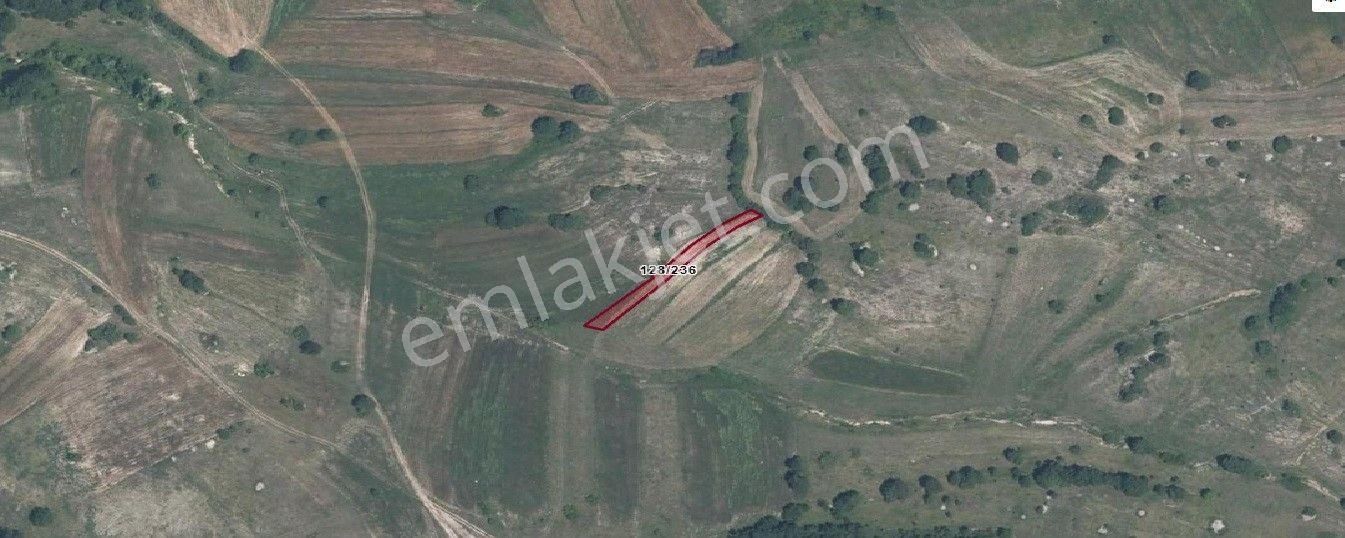 Remax Hür Ülkü Çakar'dan İzmit Bulduk Köyü'nde Satılık Yatırımlık Tarla