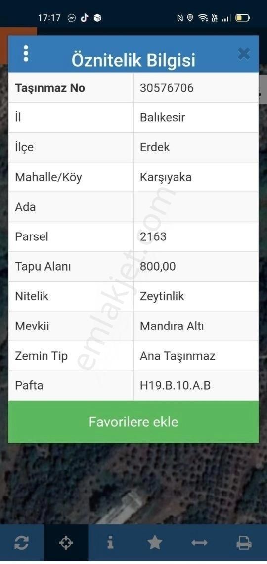 Erdek Karşıyaka Mahallesinde 3 Parsel Toplam 4325 M2 Zeytinlik - Görsel 3