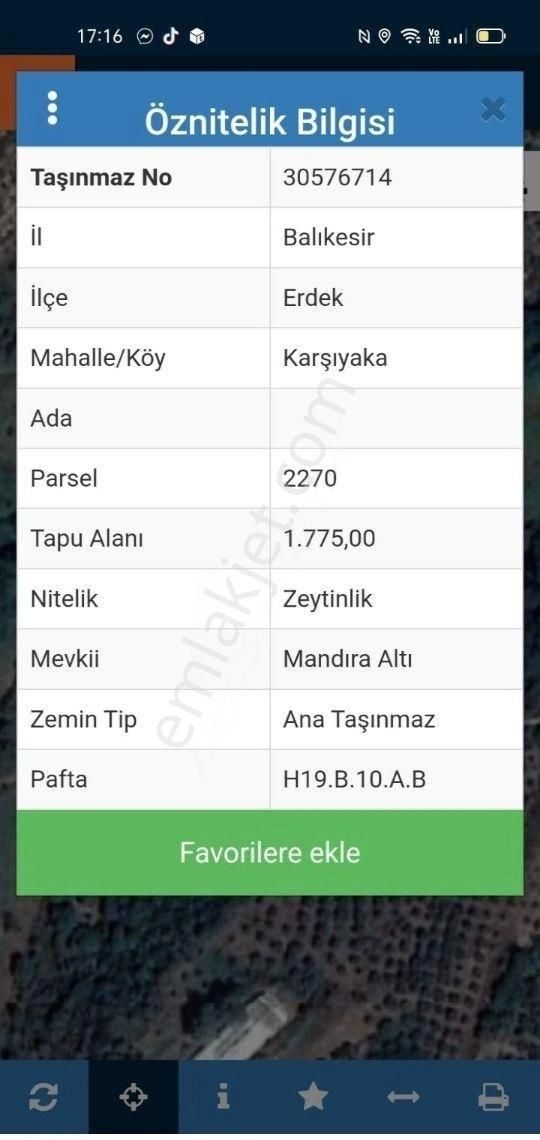 Erdek Karşıyaka Mahallesinde 3 Parsel Toplam 4325 M2 Zeytinlik - Görsel 6