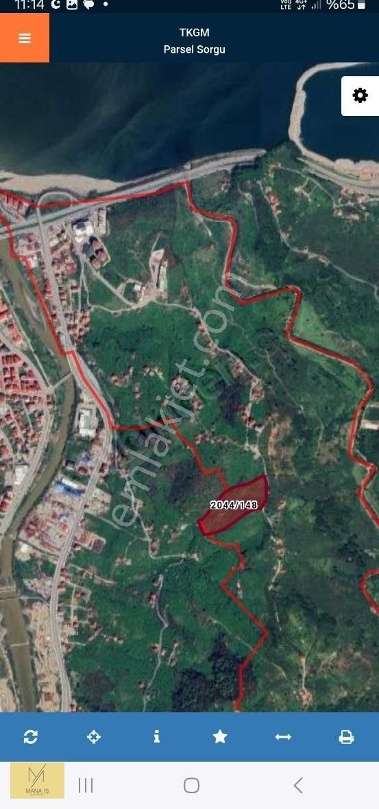 Mânâ İş Gayrimenkulden Sahile Yakın 25 Dönüm Fındık Bahçesi