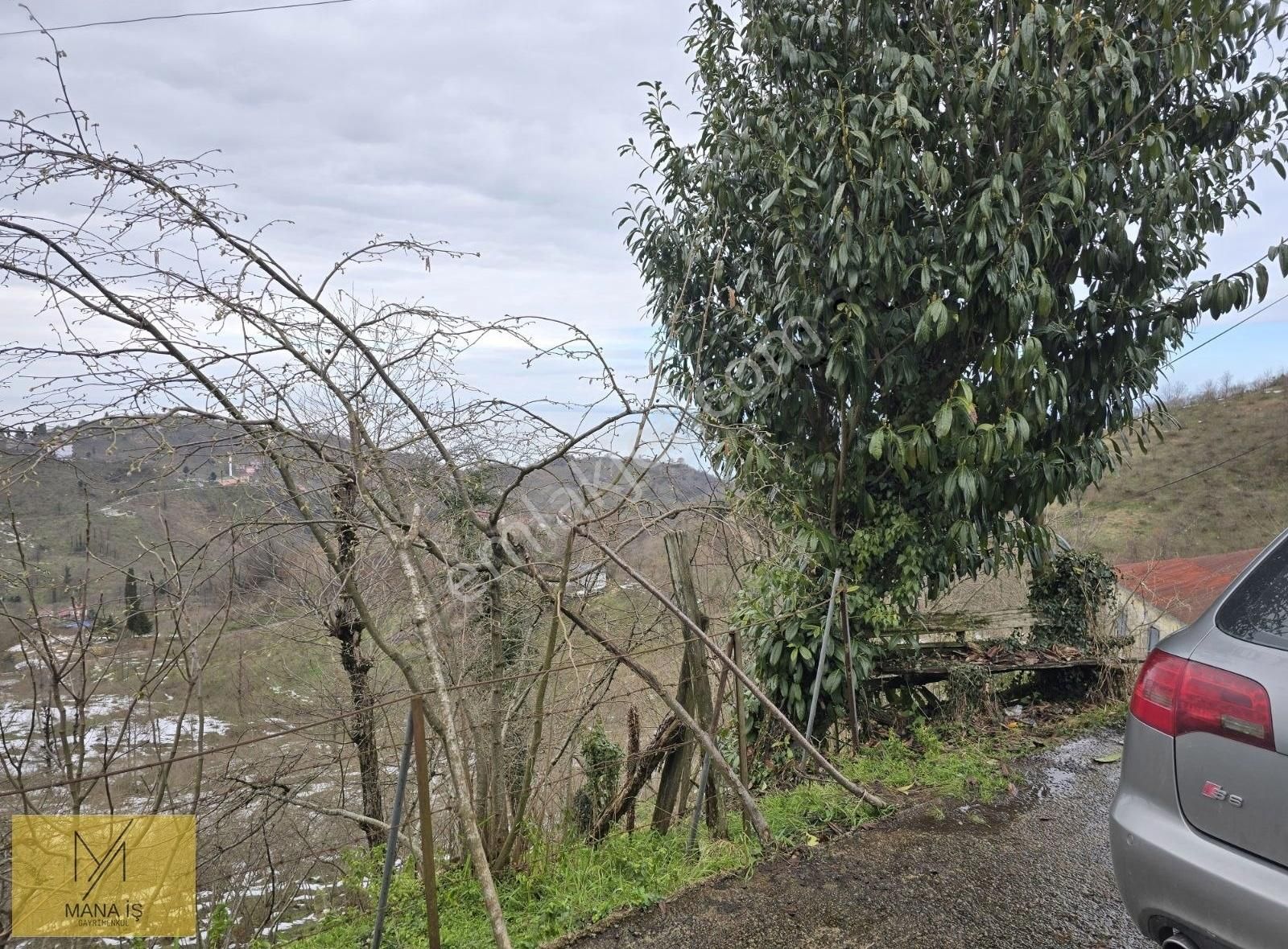 Muhteşem Deniz Ve Doğa Manzaralı, Havadar Fındık Bahçesi Ve Evi