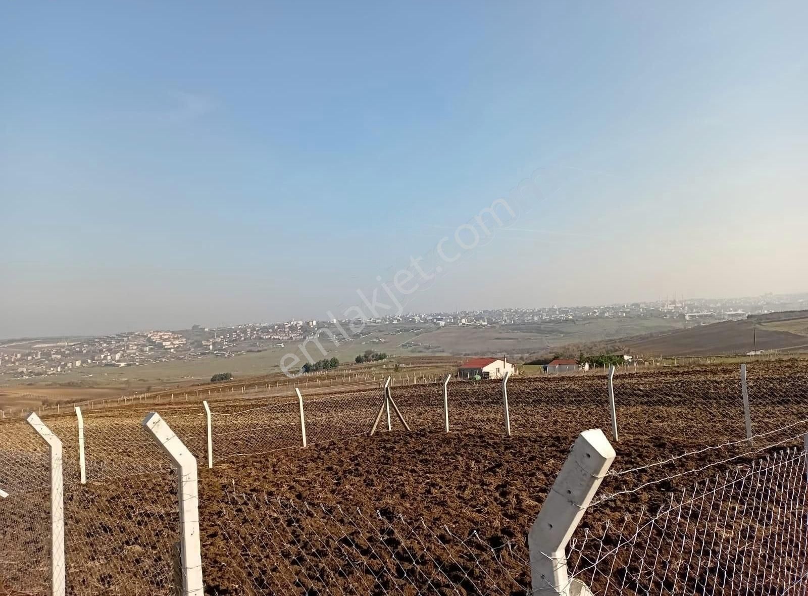 Kocaeli Kandıra Pınardüzü Yollu Doğa İçerisinde Parseller