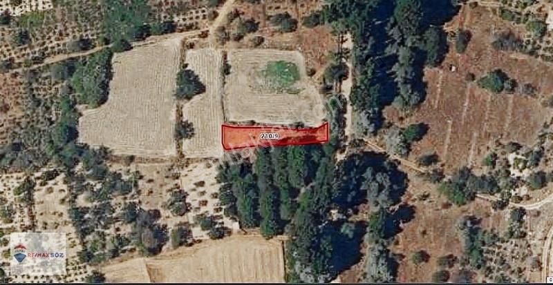 Ürgüp Karlık Satılık Bahçe Hazır Kurulu Düzen Yolu Var Tek Tapu