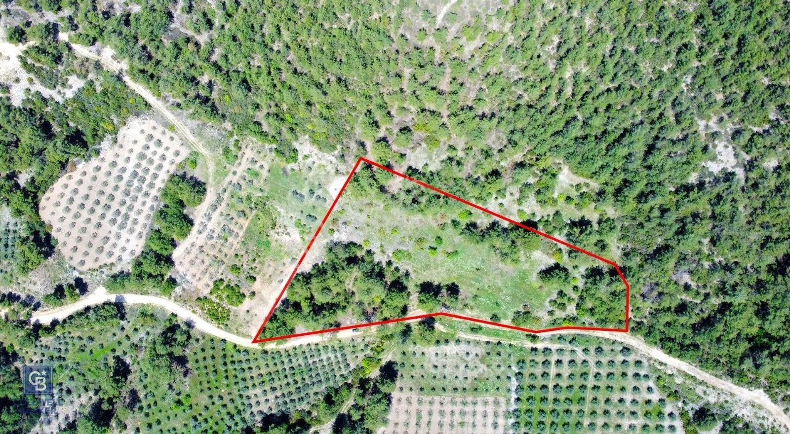 Muğla Menteşe Kafaca'da Satılık Tarla