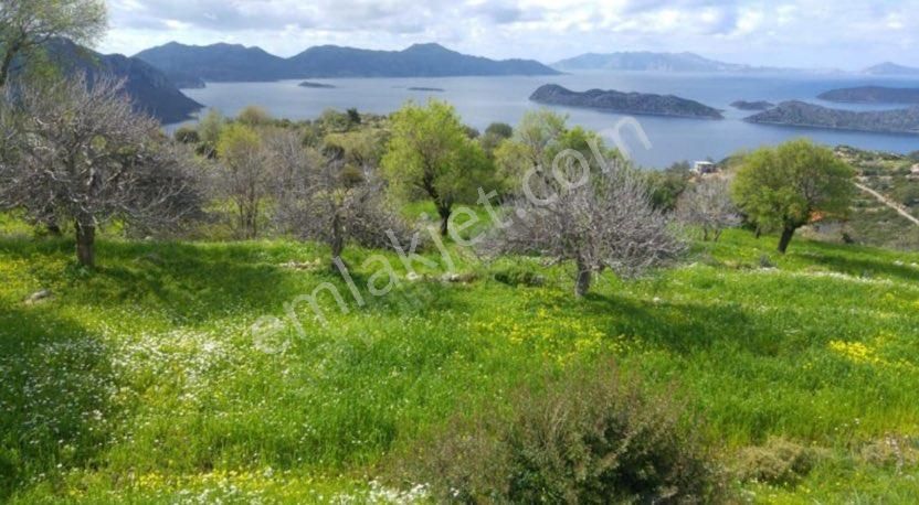 Fi Harita Gayrimenkul'den Söğütte Denize 5 Dk Satılık Tarla
