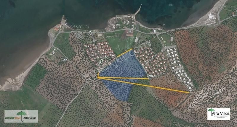 Emsal İle İmara Açılabilir Yada Tesis Yapılabilir 43 Dönüm Arsa