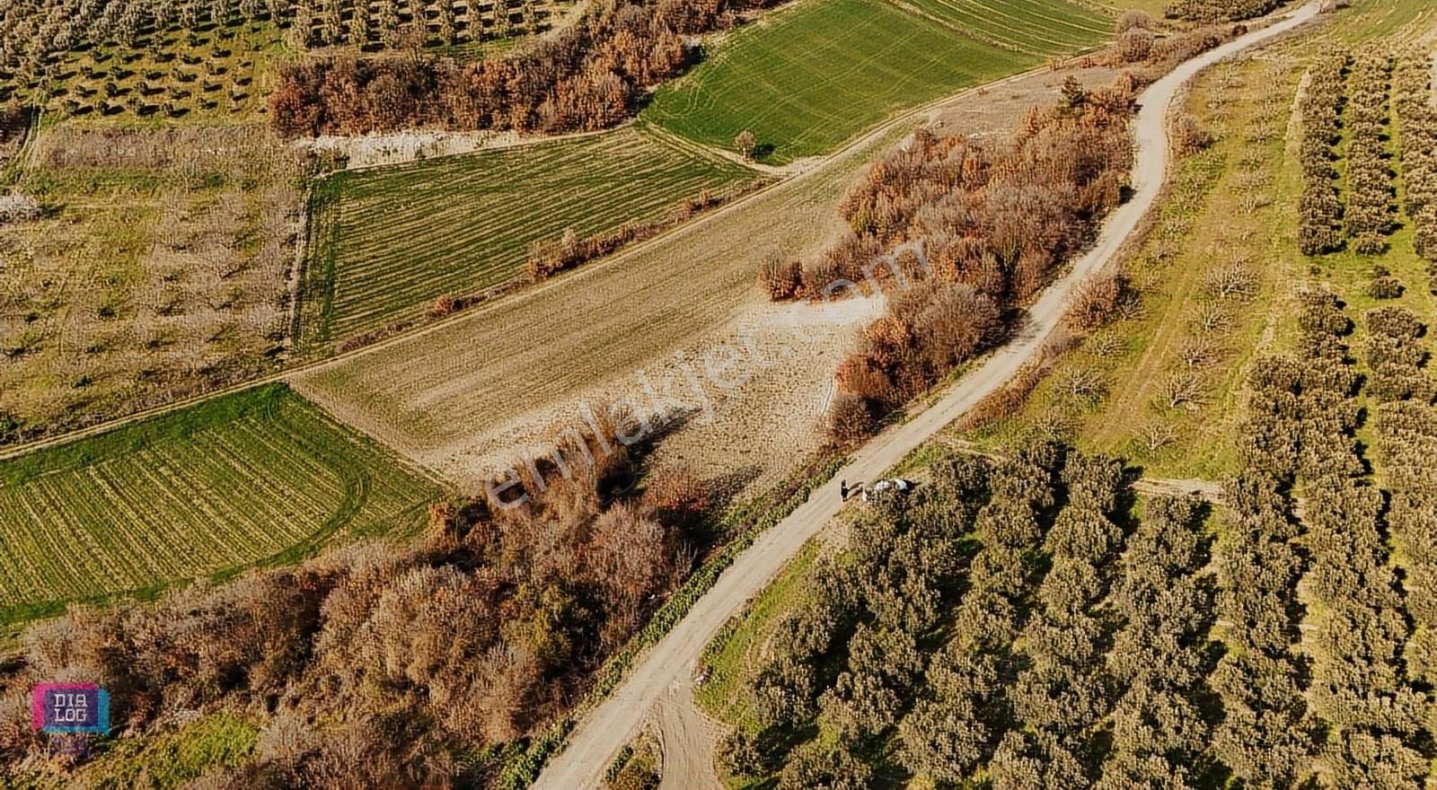 Dıalog Plus'tan Konaklı'da Mantıklı Takasa Uygun Arazi