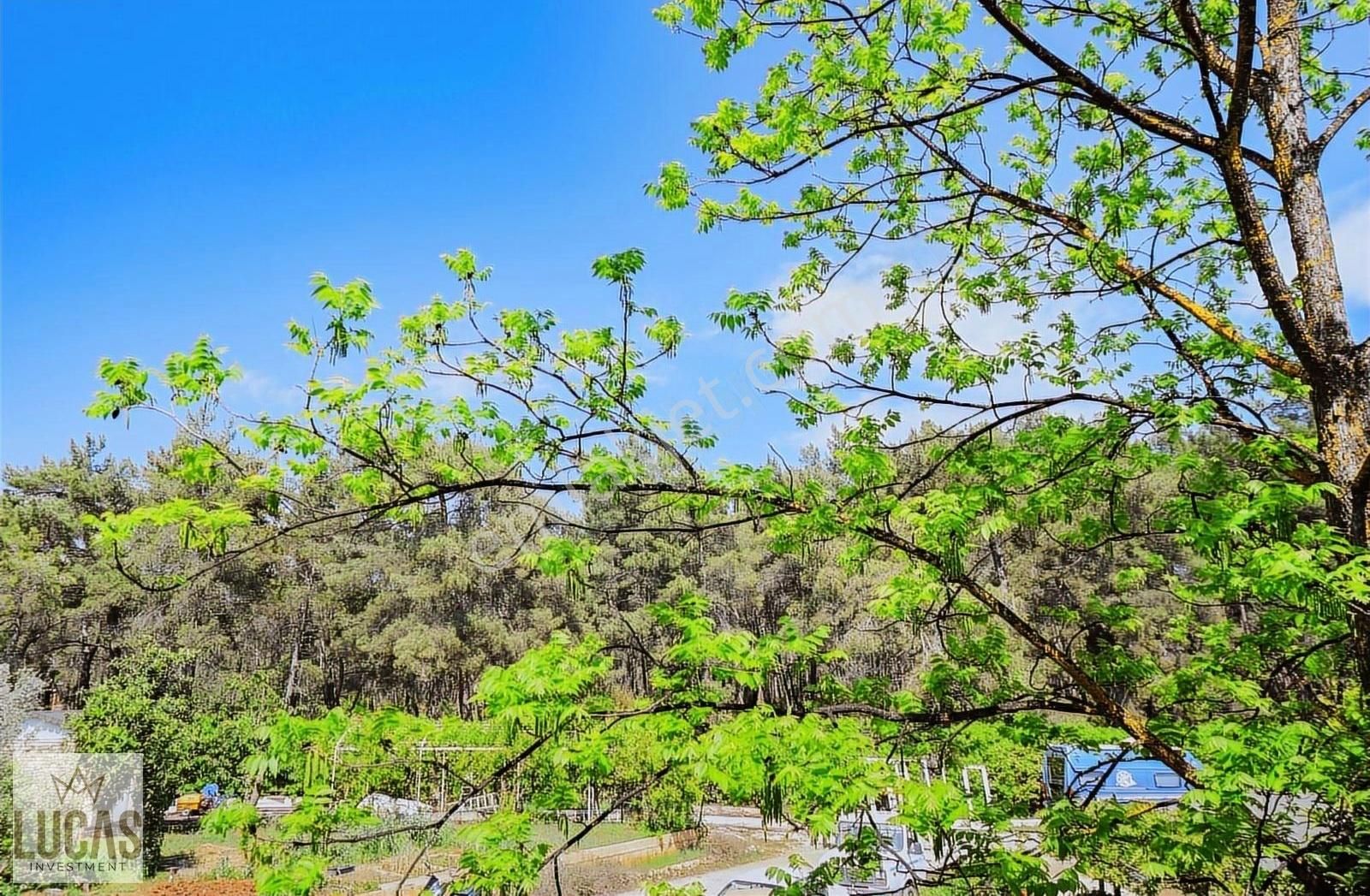 Orman İçinde Sitede Şehre Yakın Konumda Orman Manzaralı Villa