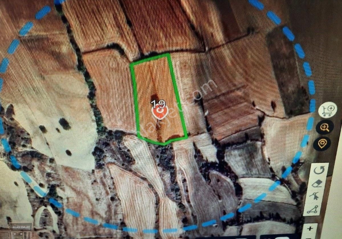Bolu Göynük Satılık Tarla