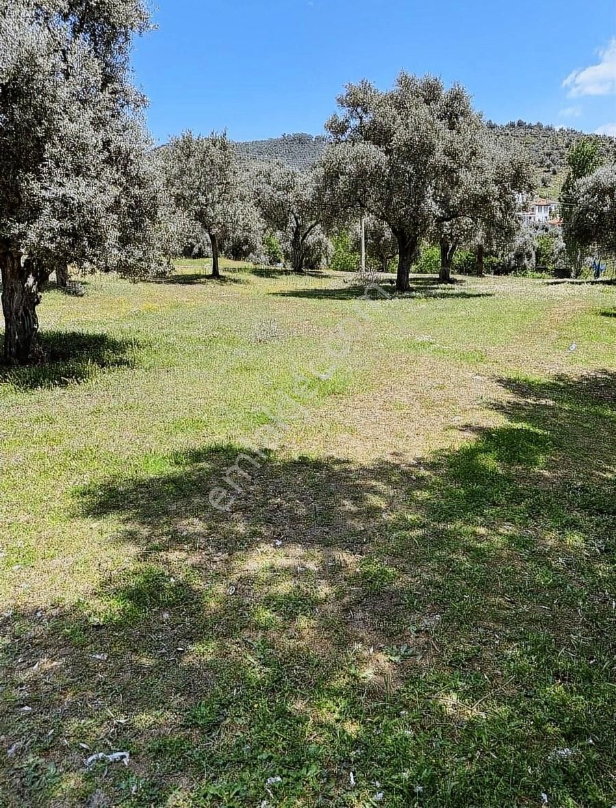 Akbaşlar Gayrimenkul'den Selimiye Merkezde 4 Kat İmarlı Arsa