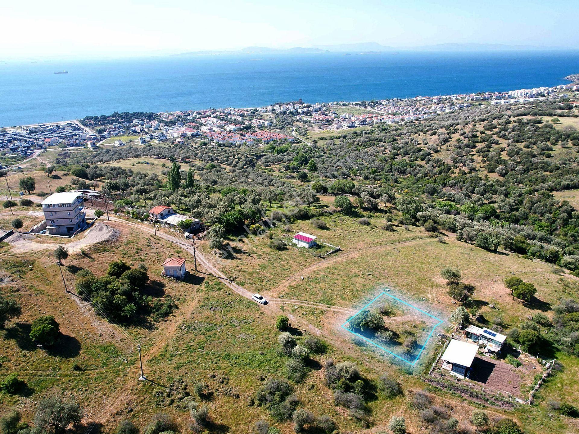 Çandarlı'da 375 M2 Doğa İle İçiçe İmarlı Arsa