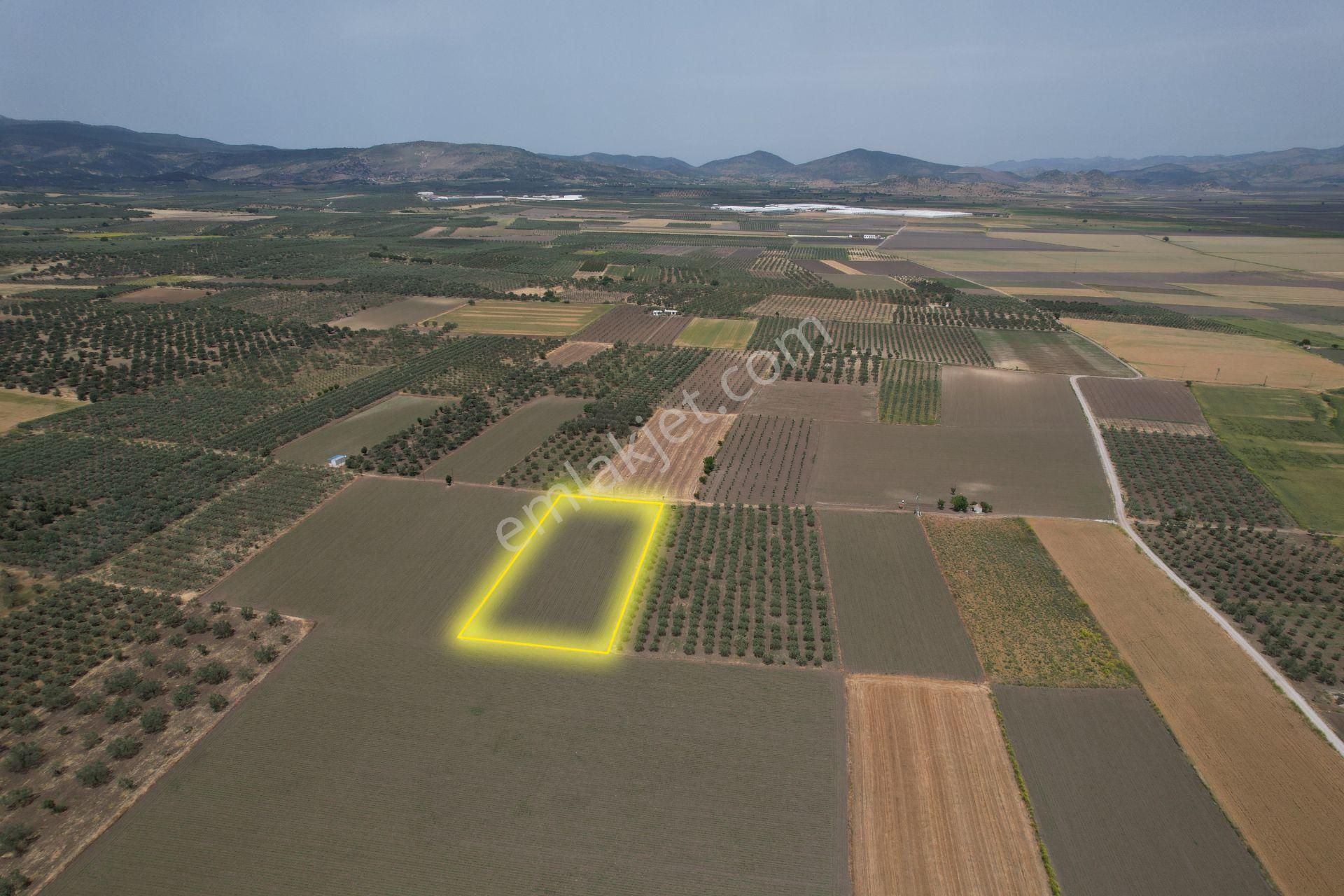 Çandarlı Kırantoğlu Mevkiinde 6413 M² Tarla!