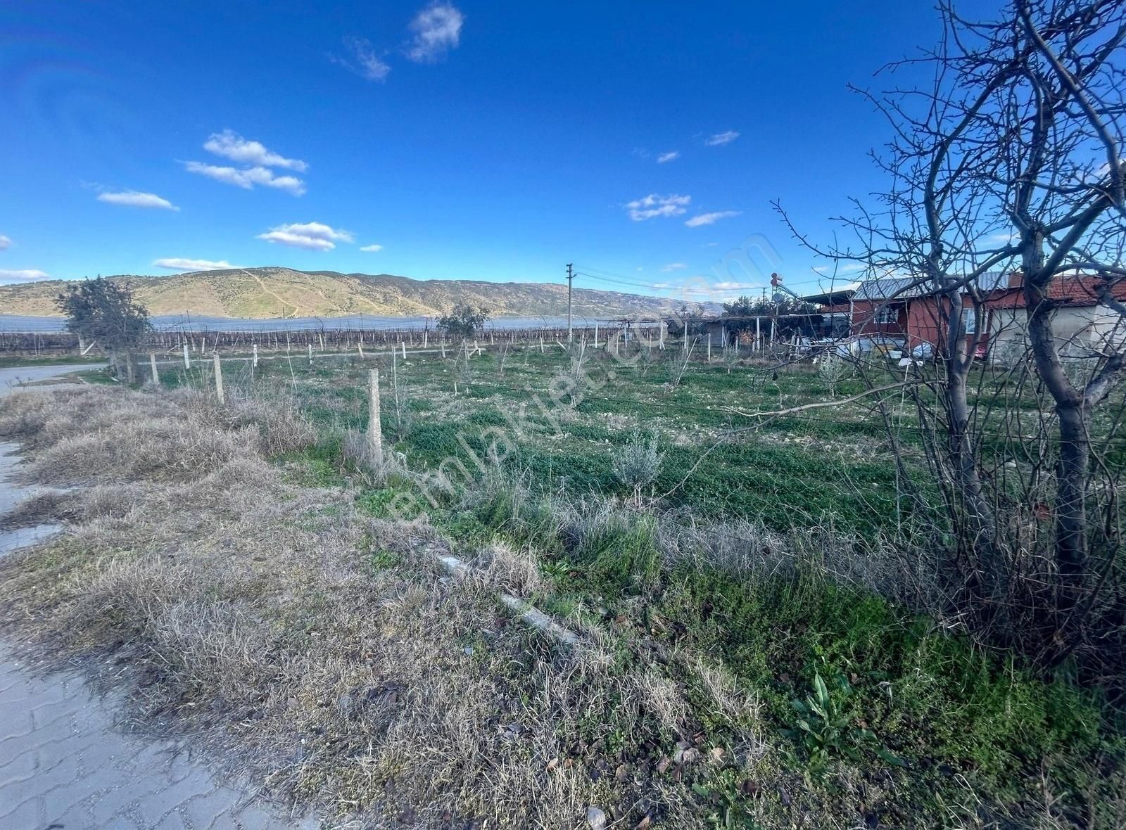 Sarıgöl Tırazlar Mahallesinde Yatırımlık Arsa - Görsel 3