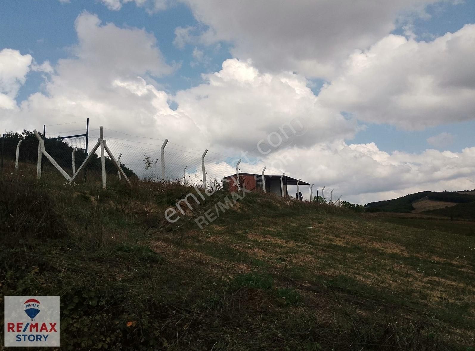 Kocaeli Derince Geredeli Köyünde Tek Tapu Satılık 240 M² Tarla