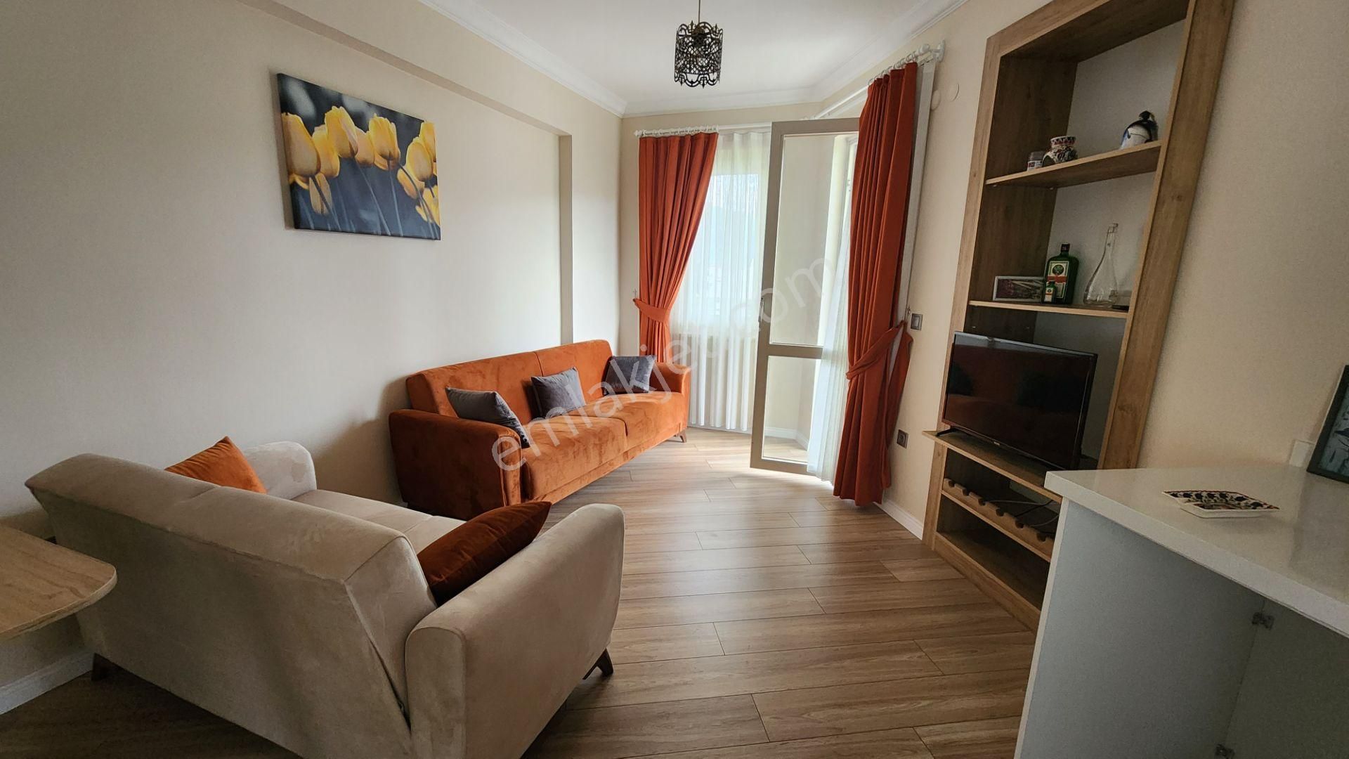 Fi Harita Emlak'tan Kemeraltı Mah.eşyalı (1+1) Kiralık Daire