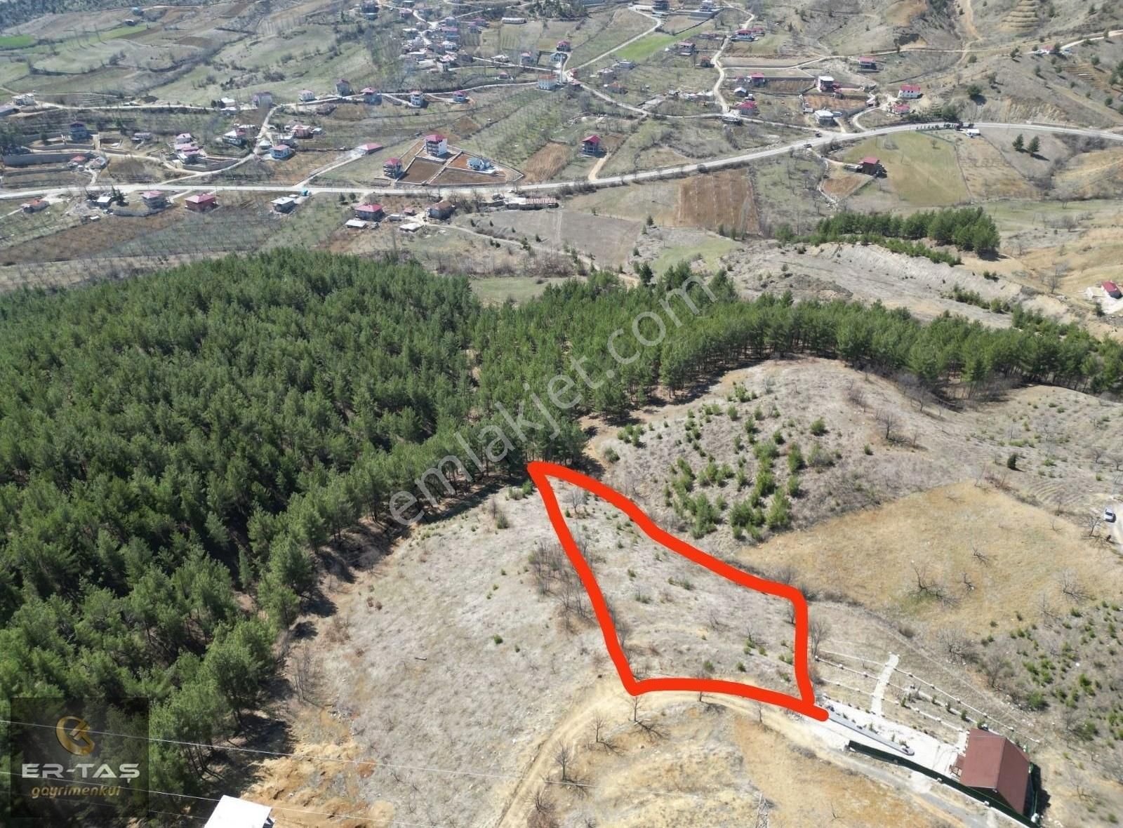 Er-taş Gm'den Tekir De 3.200m² Tek Tapu Tarla