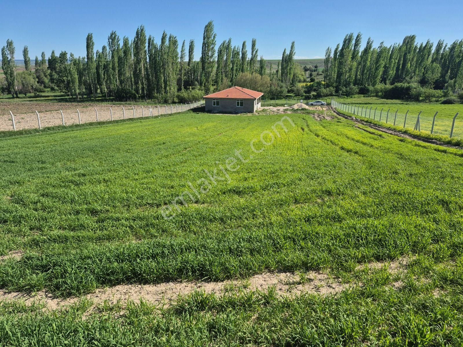 Doğayla İç İçe, Huzurlu Yaşam Seyitgazi Ayvalıda Arsa/sho-7