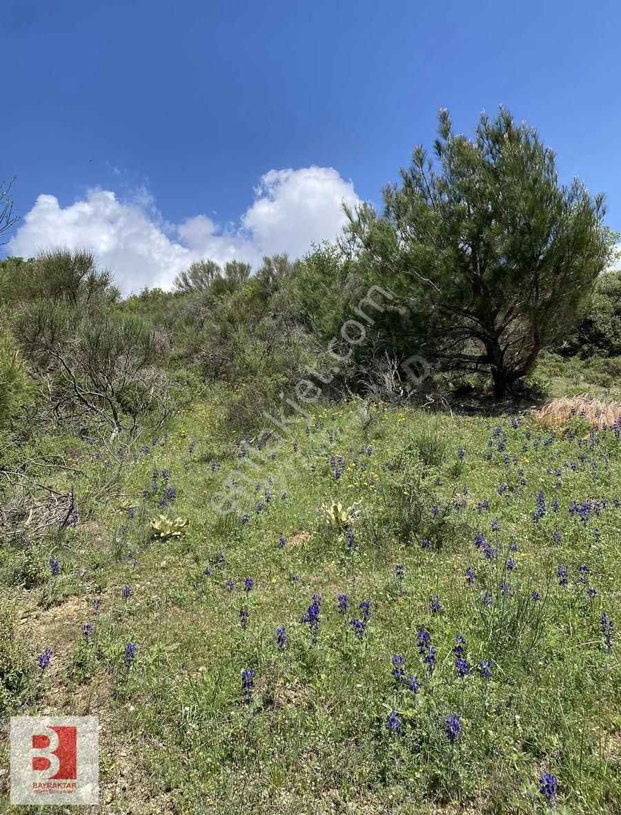 Karabağlar Kavacık'ta 16,103 M2 Satılık Tarla - Görsel 6