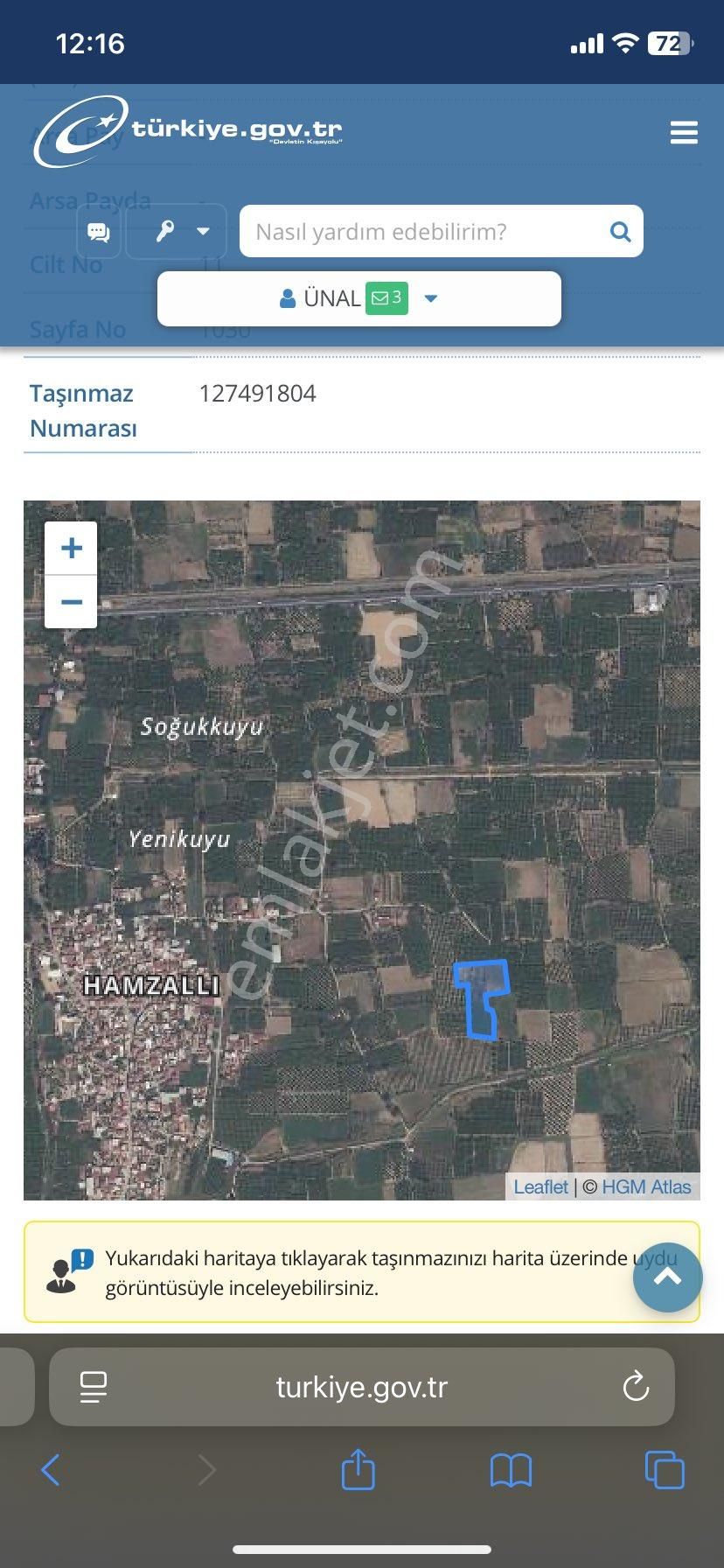 Hamzallıda Tarla