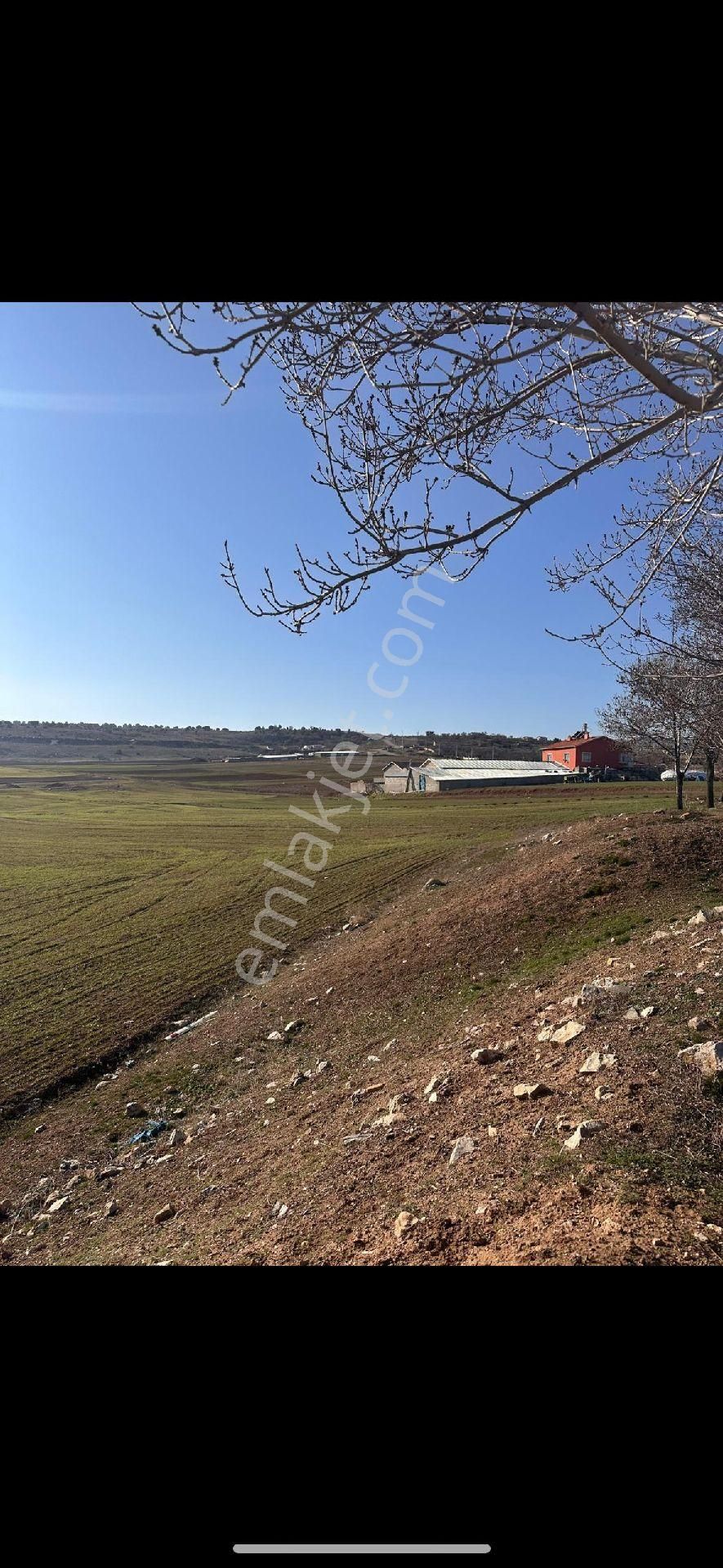 İmar Dibi Ve İmar Planında İlçe Merkezinde Müstakil Tapu Yatırım Fırsatı