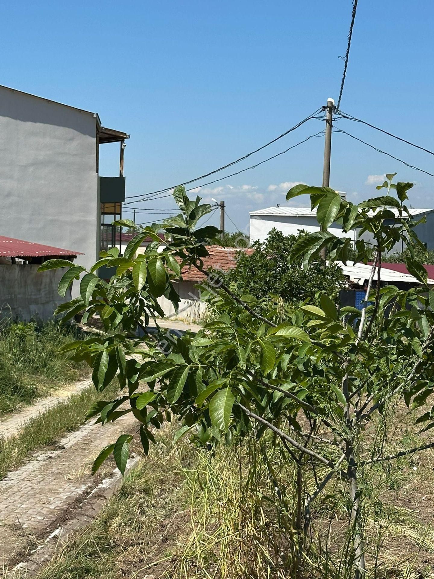 Dekor Emlaktan Ömerli Mh Köy İçi 514 M2 İmarlı Fırsat Arsa
