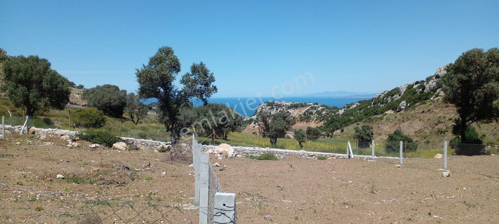 Mor Çiçek Emlak Karaburun Mordoğanda Deniz Manzaralı Hobi Bahçe Yeri - Görsel 15