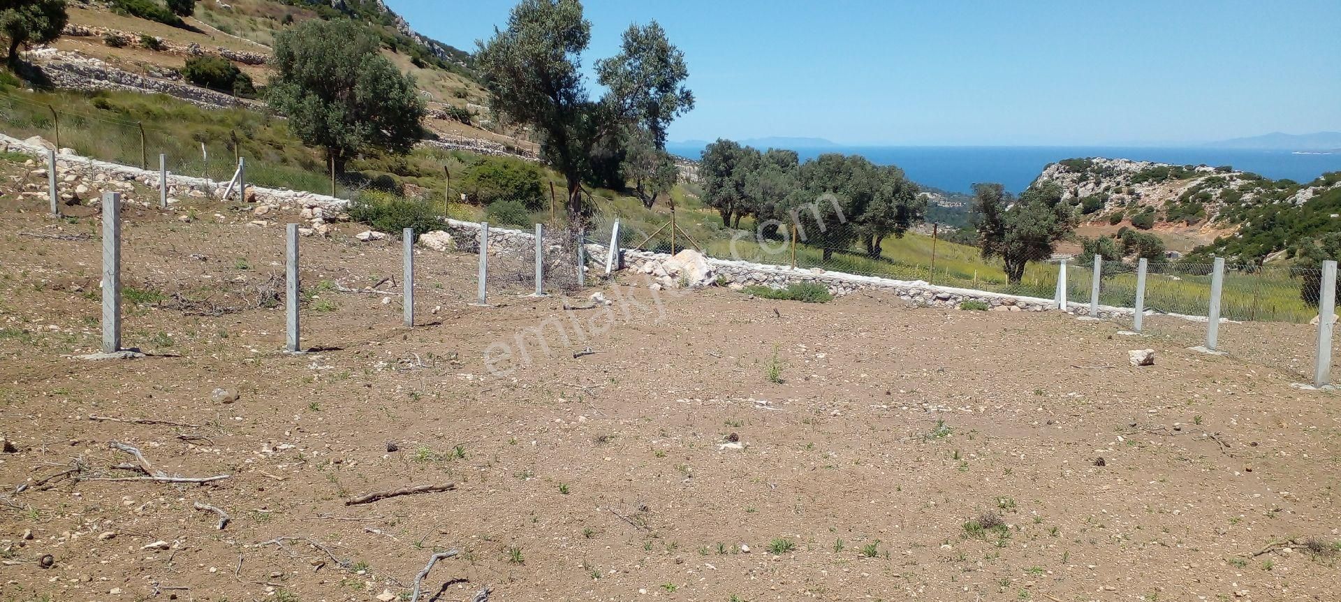 Mor Çiçek Emlak Karaburun Mordoğanda Deniz Manzaralı Hobi Bahçe Yeri - Görsel 7