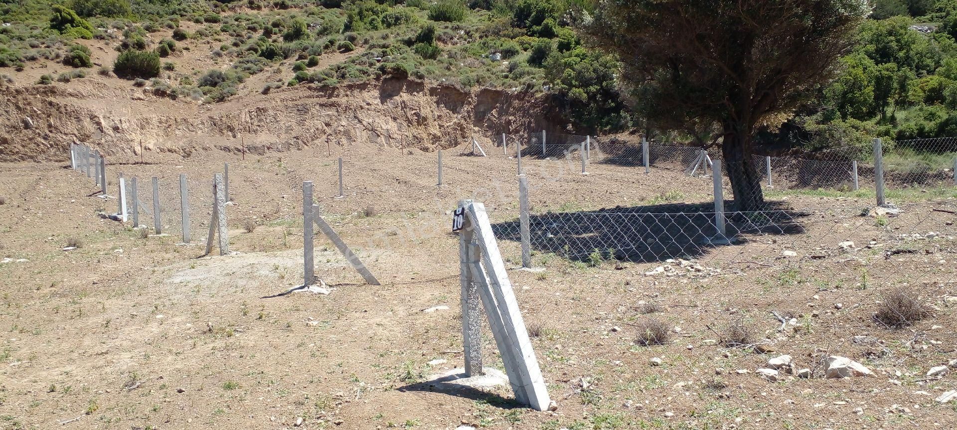 Mor Çiçek Emlak Karaburun Mordoğanda Deniz Manzaralı Hobi Bahçe Yeri - Görsel 9