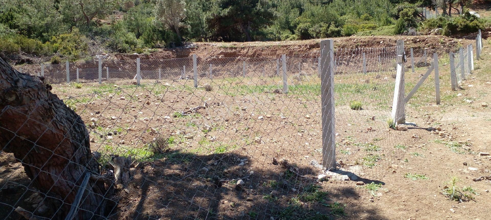 Mor Çiçek Emlak Karaburun Mordoğanda Deniz Manzaralı Hobi Bahçe Yeri - Görsel 10