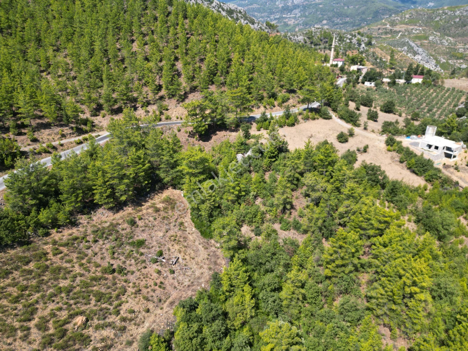 Alanya'da Satılık Yola Sıfır Acil Fırsat Tarla 1100 Metrekare - Görsel 12